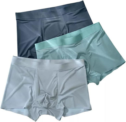 Men's  Ice Silk Briefs Boxers (Pack of 5)